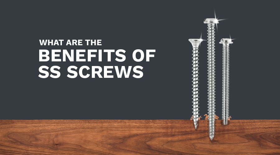 What-are-The-Benefits-of-SS-Screws-LP-Screw